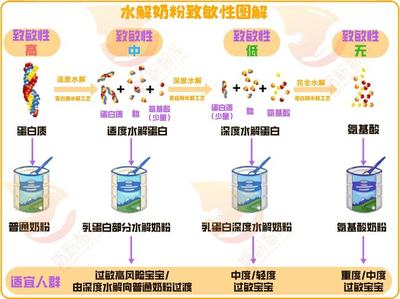 宝宝乳蛋白过敏怎么办？宝妈选奶粉、挑食物须注意这几点！特殊医学用途配方食品指南